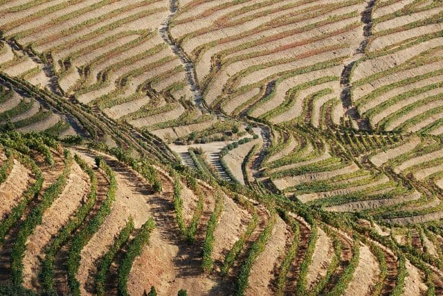 Six Senses Douro Valley